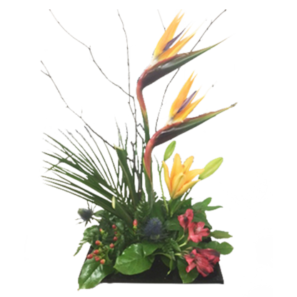 Birds in Paradise | Floral Express Little Rock
