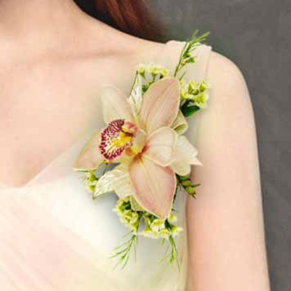 Orchid on the Shoulder | Floral Express Little Rock