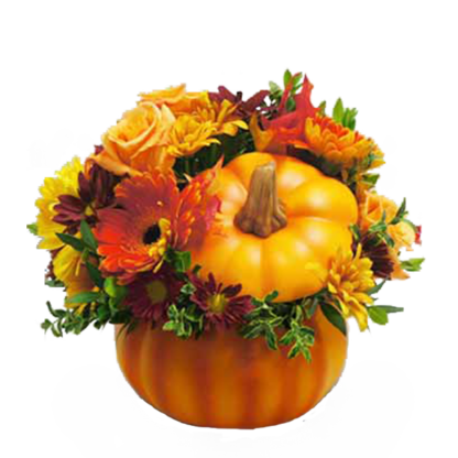 Pumpkin Patch | Floral Express Little Rock