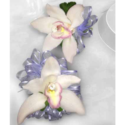 Simple Orchids | Floral Express Little Rock