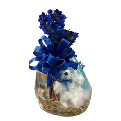 Baby Boy Gift Basket | Floral Express Little Rock