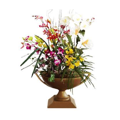 Orchids Galore | Floral Express Little Rock
