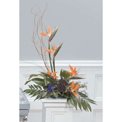 Designs for the Home | Floral Express Little Rock