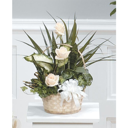 Garden Basket with Roses | Floral Express Little Rock