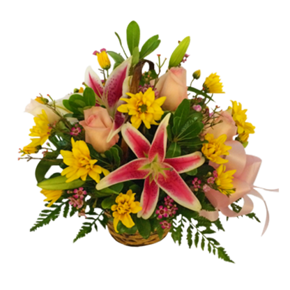 Starbright | Floral Express Little Rock