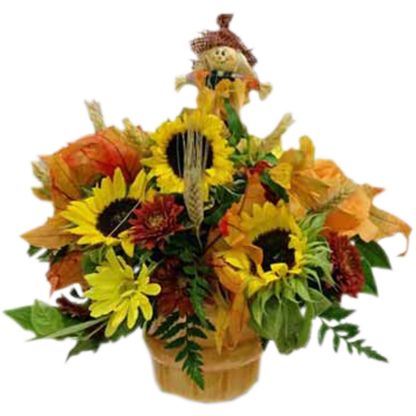 Sunflower Harvest | Floral Express Little Rock