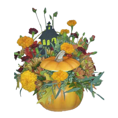 Bewitched Pumpkin | Floral Express Little Rock