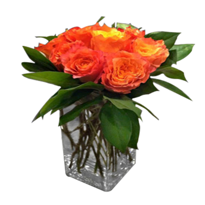 Orange Rose Delight | Floral Express Little Rock