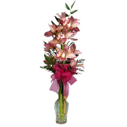 Cymbidium Orchids Bud Vase | Floral Express Little Rock