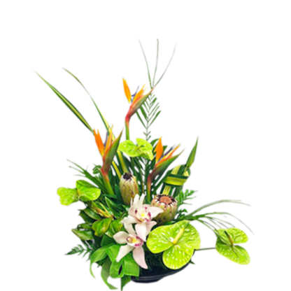 Tropical Green | Floral Express Little Rock