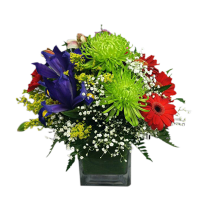 Cube of Many Colors | Floral Express Little Rock