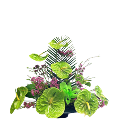 Green Anthurium | Floral Express Little Rock