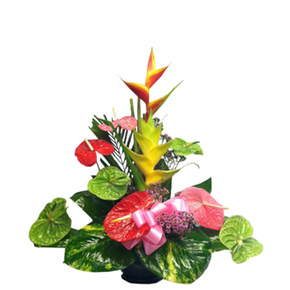 Hawaiian Hearts | Floral Express Little Rock
