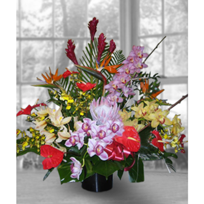 Tropical Condolences | Floral Express Little Rock