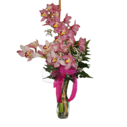 Cymbidium Orchid Vase | Floral Express Little Rock