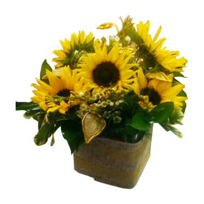 Sunflowers in Gold | Floral Express Little Rock