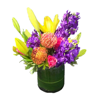 Pincushion Mix | Floral Express Little Rock