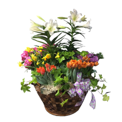 Spring Bloom Extravaganza | Floral Express Little Rock
