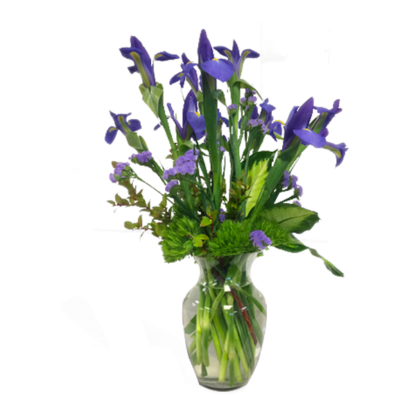 Intriguing Iris | Floral Express Little Rock