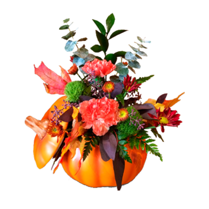 My Lil' Pumpkin | Floral Express Little Rock