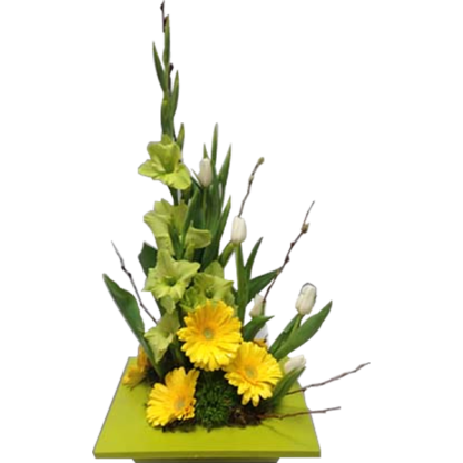 Serene Green | Floral Express Little Rock