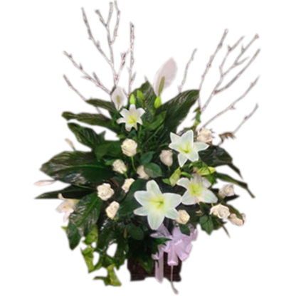 Floral Peace Lily | Floral Express Little Rock
