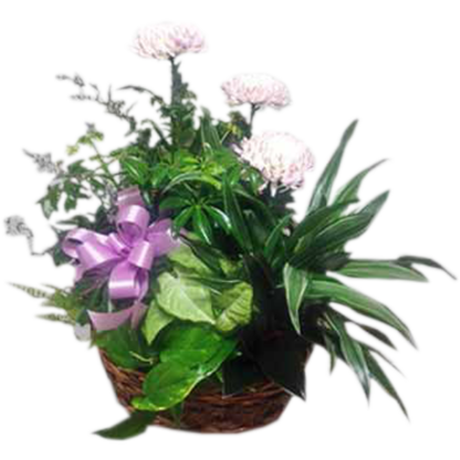 Planter with Fresh | Floral Express Little Rock