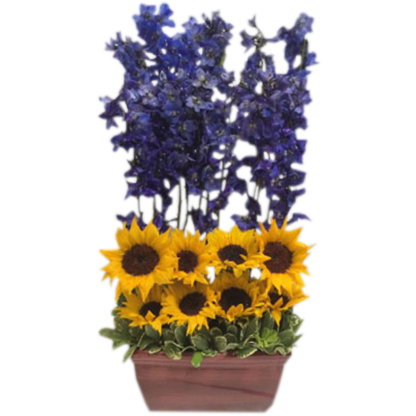 Sheltered Sunflowers | Floral Express Little Rock