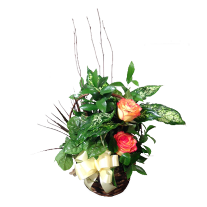 Planter with Roses | Floral Express Little Rock