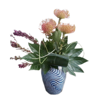 Protea In A Swirl | Floral Express Little Rock