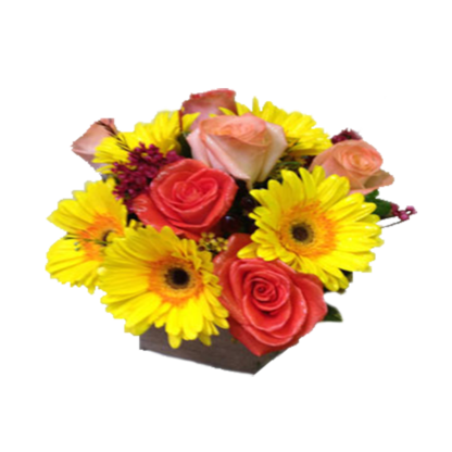 Roses with Sunshine | Floral Express Little Rock