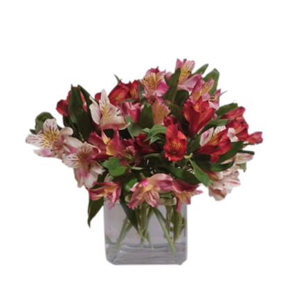 Awesome Alstro | Floral Express Little Rock