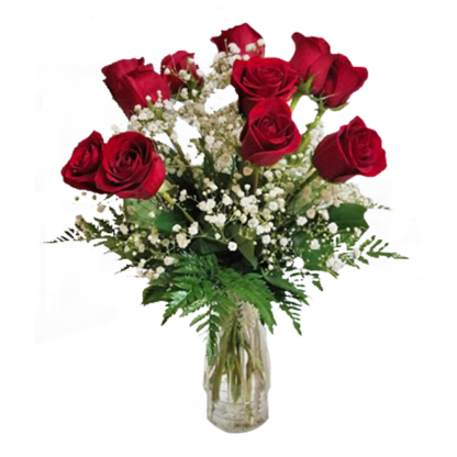 One Dozen Roses | Floral Express Little Rock