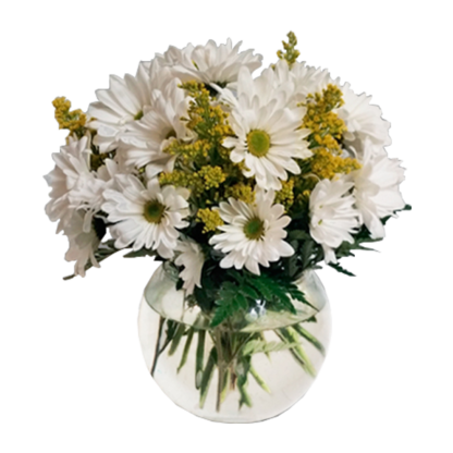 Daisy Bowl | Floral Express Little Rock