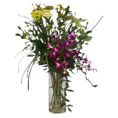 Tropics in a Vase | Floral Express Little Rock