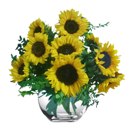 Sunflower  Bowl | Floral Express Little Rock