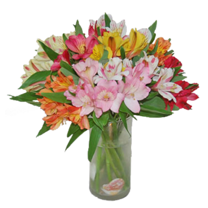 Colorful Alstroemeria | Floral Express Little Rock
