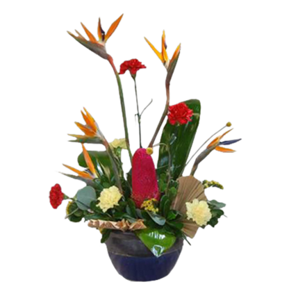 Bold Protea | Floral Express Little Rock