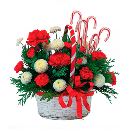 Candy Cane Basket | Floral Express Little Rock