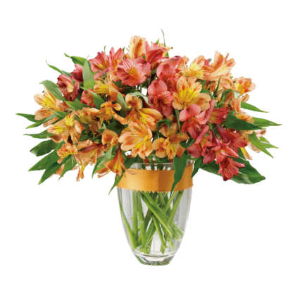 Awesome Alstroemeria | Floral Express Little Rock