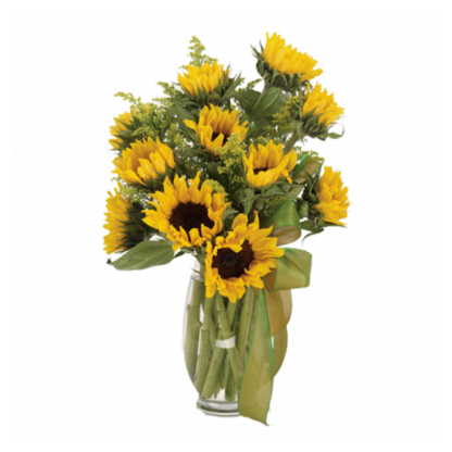 Sunflower Fields | Floral Express Little Rock