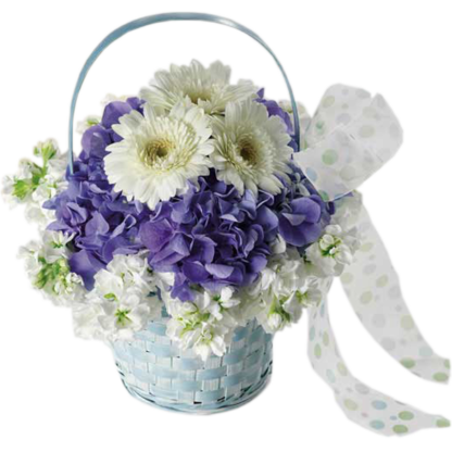 Baby Blue Basket | Floral Express Little Rock
