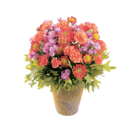 Bright Fall | Floral Express Little Rock
