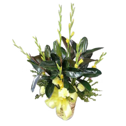 Glad for You! | Floral Express Little Rock