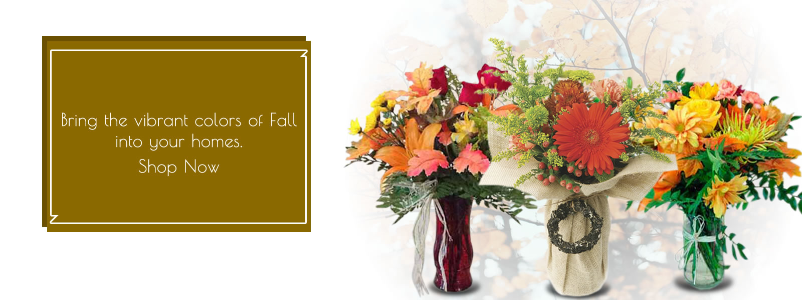 Florist Little Rock AR, Express Flower Delivery (Highest Quality